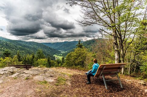 Ausblick an der oberen Albtalschanze