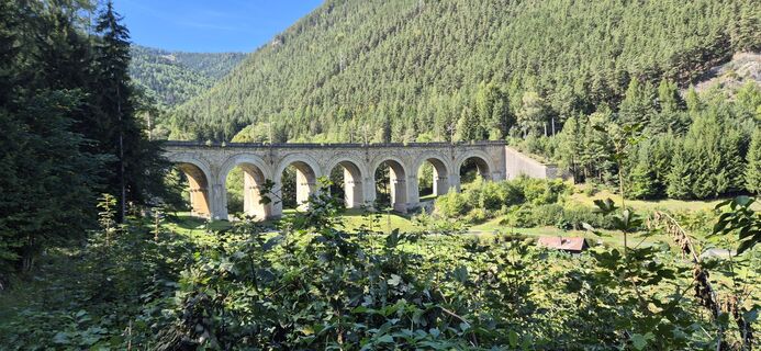 Foto von Bamsi entlang der Tour