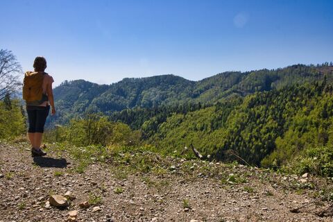Blick auf den weiteren Wegverlauf