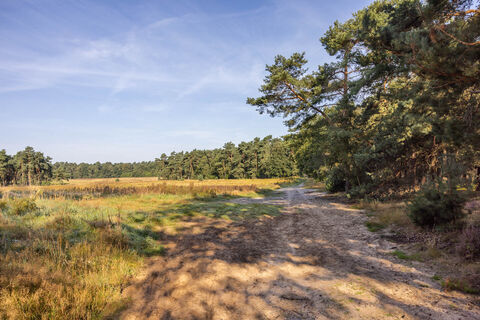 LandStreifer "Die Berge" - Landschaft in Velen