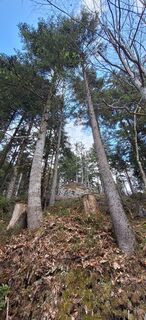 Zdjęcie z Deutsch Margit wzdłuż trasy