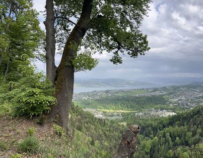 Foto von Kathrin N. entlang der Tour