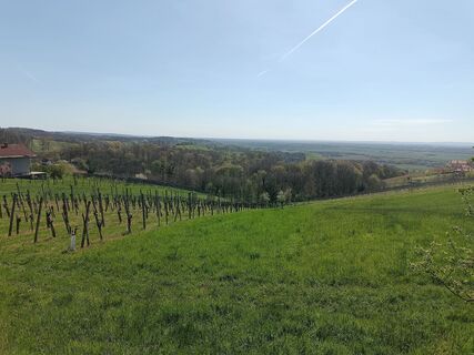 Photo de flexl-f le long du parcours