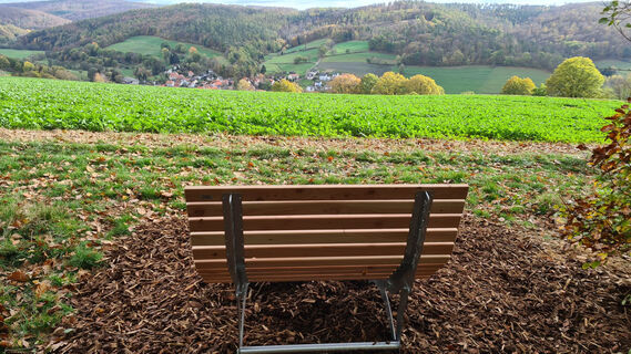 Waldsofa am B5 B6 oberhalb Kirchhof