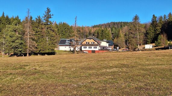 Fotografija s spletne strani Regina Fleischmann na poti