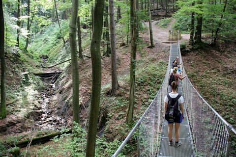 Hängebrücke in der Altenbachklamm