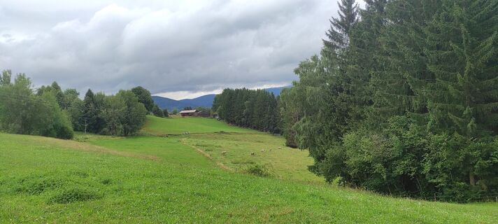 Photo de Andreas Herget le long du parcours