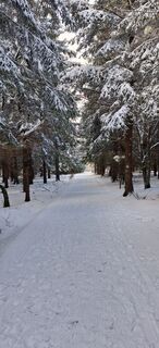 Foto von Jan Hozl entlang der Tour