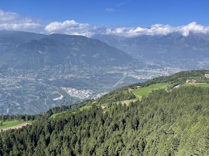 Fotografia z holgerwag na trase