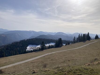 Foto von Moonytiger entlang der Tour