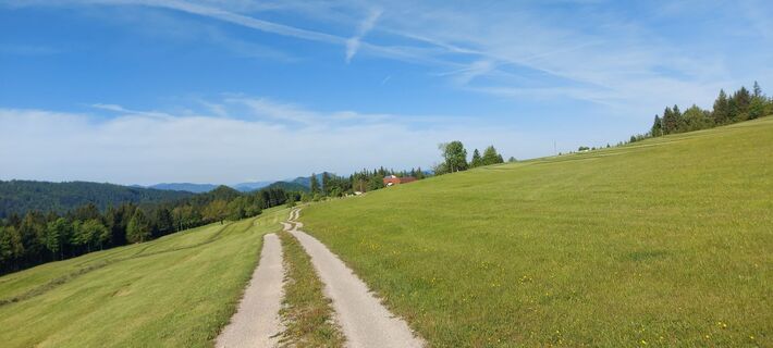 Fotografija s spletne strani Klaus Gruber 3 na poti