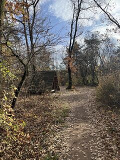 Foto de Vicaliza a lo largo del recorrido