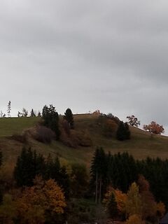 Fotografija s spletne strani Wohlmuther na poti