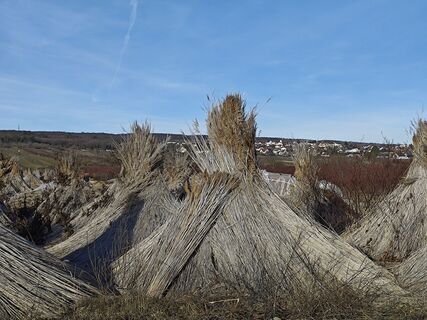 Fotografija s spletne strani Sabine na poti