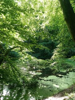 Wanderung und Wanderweg entlang Bocksieksbach zu Kellerteiche