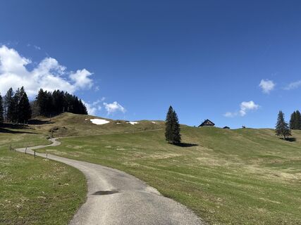 Foto de Similaun a lo largo del recorrido