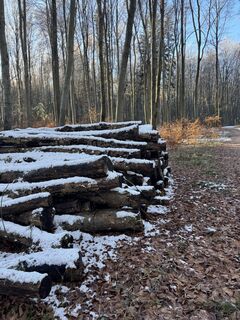 Foto von Denise Miller entlang der Tour