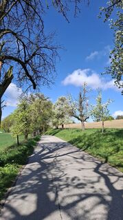 Fotografija s spletne strani Jordy na poti