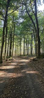 Fotografie z Éva Dörflinger na trase