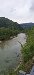 Photo de schoenfalter le long du parcours