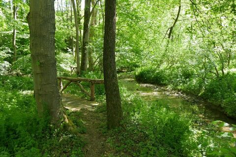 Traumhafter Weg entlang der Schelpe