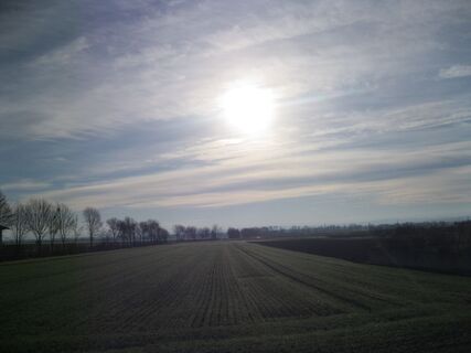 Fels - Absdorf