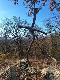 Fotografia z Markus Ortner na trase