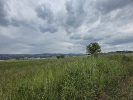 Fotografija s spletne strani Jana Rudloff na poti