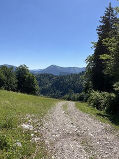 Fotografija s spletne strani Heinz Sperl na poti