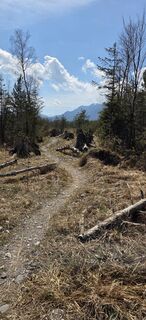 Photo de Karin Geretshauser le long du parcours