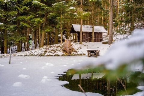Winterwandern am Walderlebnisweg Gschaidt