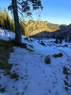 Zdjęcie z Róbert Balogh wzdłuż trasy