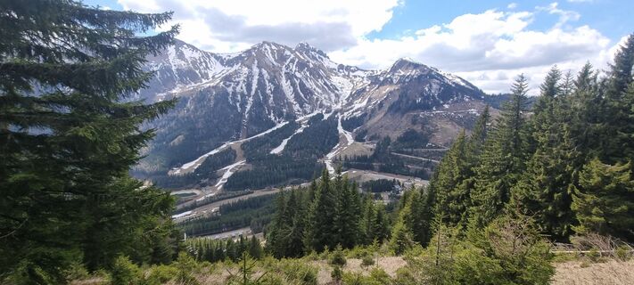 Fotografija s spletne strani Mario Libardi na poti