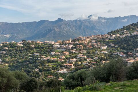 FFC-Mountainbike 12: Saleccia