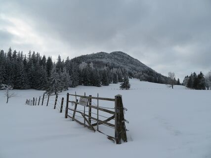 Ebenwald - Reisalpe