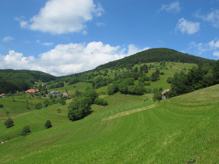 MTB-Tour 1 im Zeller Bergland