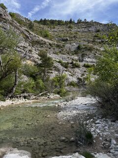Fotografia z noddy suter na trase