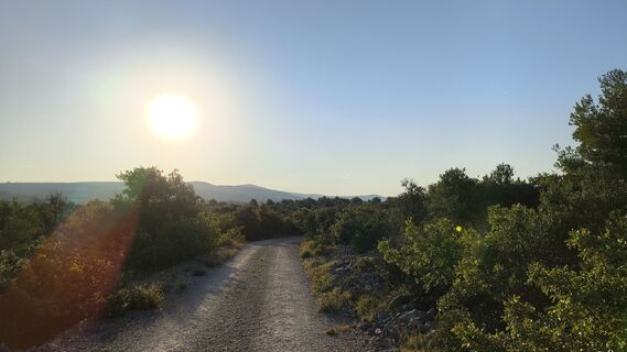 Foto de WilliSt a lo largo del recorrido