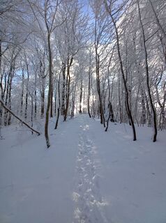 Fotografia z soeren Rennemann na trase