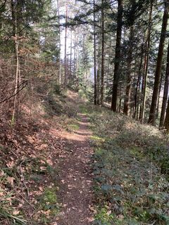 Foto von Kristina 1 entlang der Tour