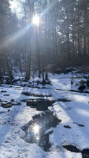 Photo de Eveline Zecha le long du parcours