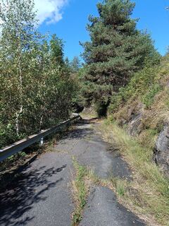 Fotografia z Thomas Waldraff na trase