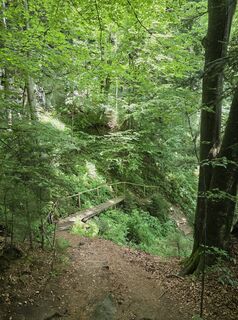 Zdjęcie z Walter Dienstl wzdłuż trasy