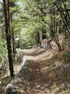 Photo de Lorenzo Martinelli le long du parcours