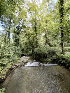 Photo de GabrielSR76 le long du parcours