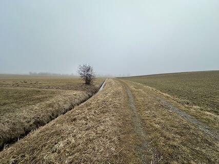 Foto de Manfred Schories a lo largo del recorrido