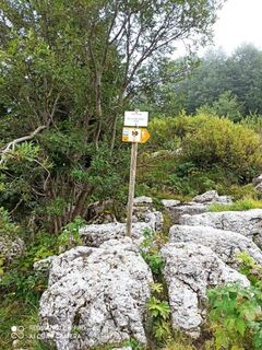 Forcella Sauc