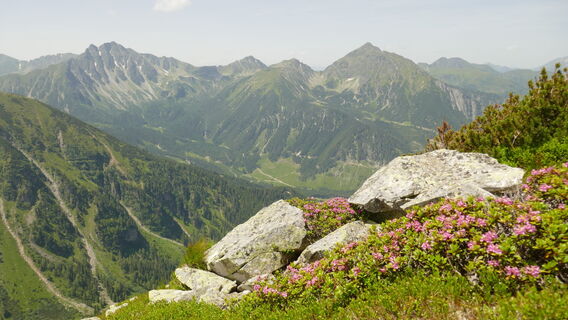 Gamskögel, Knaudachkogel und die beiden Griessteine
