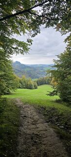 Photo de Oliver Neumann 1 le long du parcours