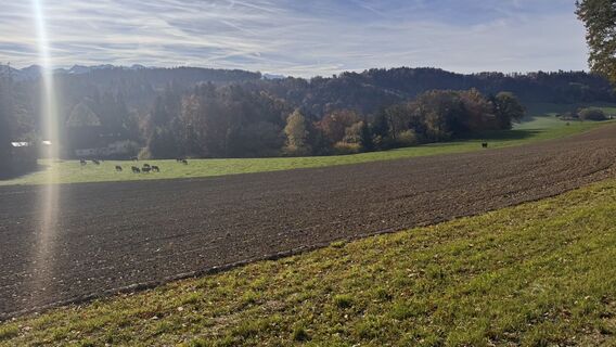 Photo de peter_oe le long du parcours